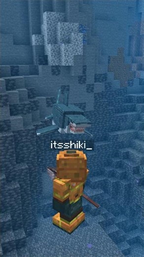 Minecraft Ocean Update