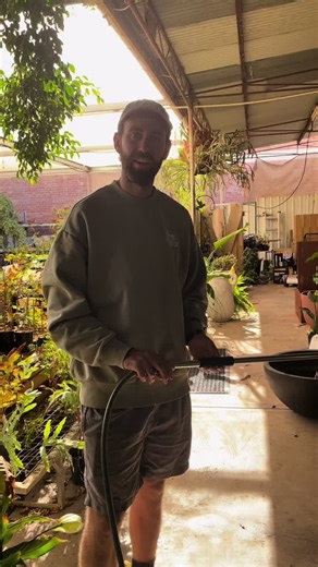 Small Garden Center Tips for Thriving Nurseries