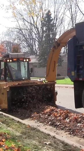 128K views · 287 reactions | For Trackless, efficiency is key. That's why the Trackless Leaf Loader mulches and loads leaves simultaneously, turning a time-consuming task into a simple, one-step process! Check it out: https://buff.ly/3Sanlxh #TracklessVehicles #LeafLoader #LeafMulcher #LeafCleanup #LeafCollection | Trackless Vehicles | Facebook