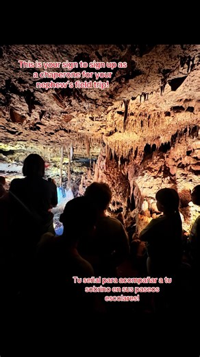 Chaperone Your Nephew’s Field Trip: A Heartfelt Reminder