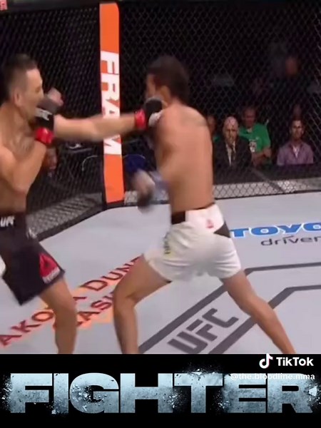 Top 5 Painful TKOs in UFC History