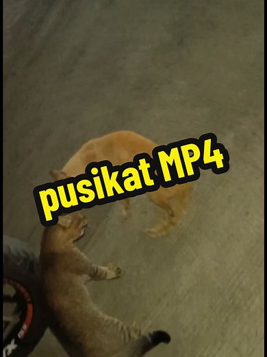 Wade (@pogew15)’s videos with original sound - Wade