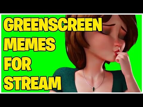 Aunt Cass Browser History Green Screen Video REMASTERED