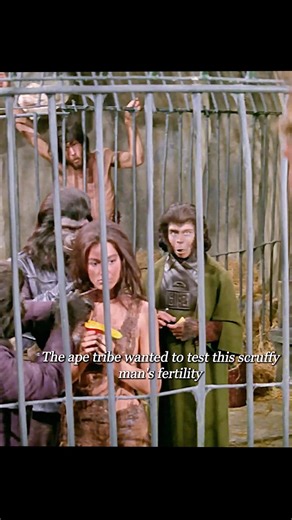 What will the ape race do next when they discover that