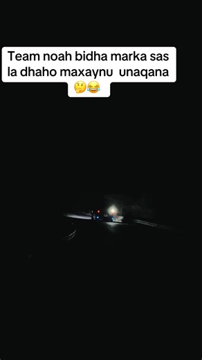 Discover Team Noah: Embracing Creativity and Fun