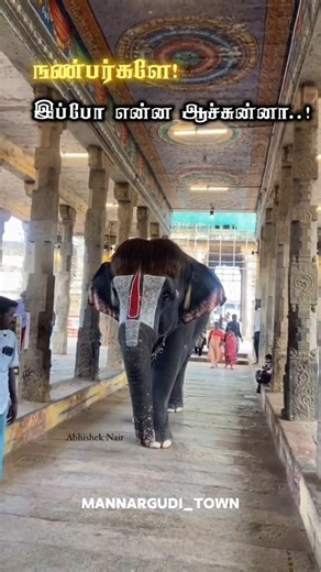 Mannargudi Town on Instagram: "🤩✨ Mannargudi Home Town 🔥✨ Bob CUT Sengamalam ❤️ Raja gopalaswamy Temple #mannai #mannargudi #mannargudirajagopalaswamy #mannargudifestival #bobcut #cute #cuteness #cutereaction #vlog #moneyhunt"