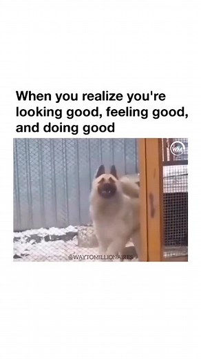 Bridget Moynahan on Reels