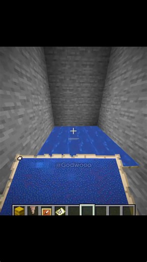 Minecraft Water Trap Moment