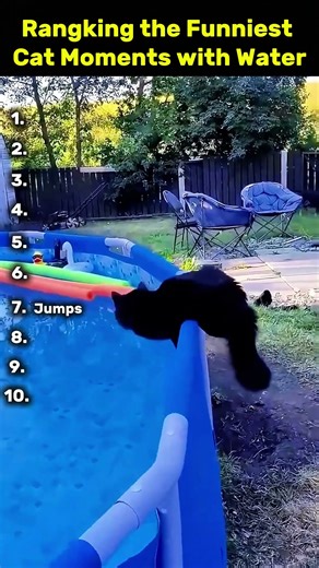 Ranking the Funniest Cat Moments with water #catfunny