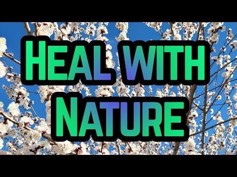 Symphony of Bees+Blooming Tree #MentalHealth #Mindfulness #StressRelief #NatureHeals #fypシ゚viral