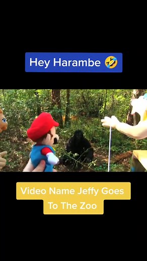 Funny Interaction with Jeffy and Harambe at the Zoo
