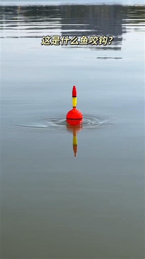 Best bobber hack that actually works #fishing #trick #effective