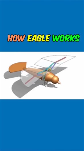 How Robotic Eagle Works Flying Robotic Bird. Follow for More 3D Mechanics Mechanical Principal, Science and Technology Videos. Like ❣️ Comments 📋 Share 📤 | Interesting Facts