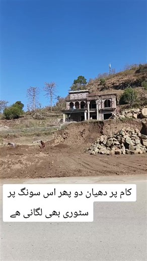 Focus on Your Project: A Cricket Lover's Inspiration