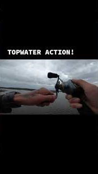 HUGE redfish strike on topwater! This one got away… #fishing #fyp #redfish #viral #trending #fypシ