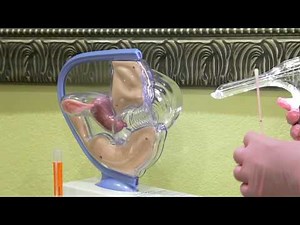 What to Expect with Your First Pelvic Exam with Dr. Summer Khan