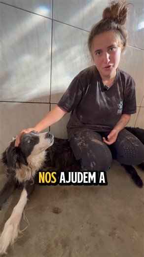 Porque aqui, mesmo na escassez, a gente acredita que Deus não abandona nenhuma de Suas criaturas. E que, quando a força da gente acaba, Ele toca corações para levantar os que mais precisam. 🐾 E talvez seja o seu coração que Ele esteja tocando agora. A ração acabou. Os remédios estão chegando ao fim. E, a cada dia que passa, a luta para manter cada vidinha viva se torna mais pesada… mas nunca sem esperança. Com apenas R$10 ou R$15, você pode ser a resposta de oração desses anjinhos. Pode transfo