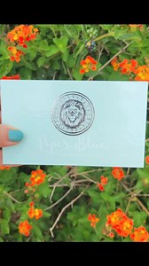 Check out PiperBlue Organic Makeup !! My favorite non toxic makeup palettes . Goes on so creamy, gives a healthy glow and is high performing, all while keeping it non toxic. Make sure to check out all their non toxic makeup and use code HerbsOfTheTorah for a discount! | Herbs of the Torah