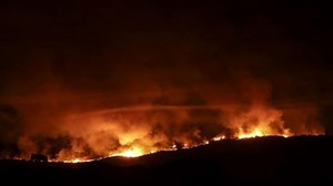 Feux de forêt en Europe : les incendies ont déjà ravagé quatre fois plus de nature que la moyenne - RTBF Actus