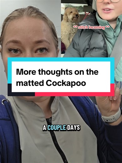 Understanding Cockapoo Grooming and Matted Fur Issues