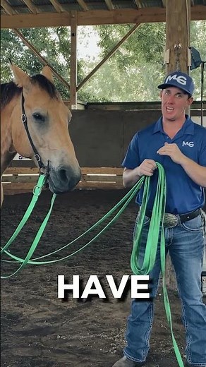 Prep Your Horse for Safe, Effective Long Lining