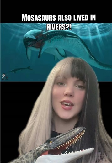Mosasaurs lived in rivers as well as the sea!! #mosasaur #mosasaurus #dinosaur #dinosaurs #facts