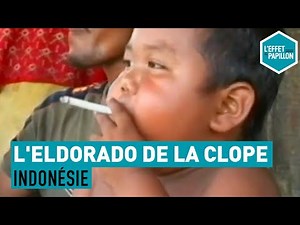 Indonésie : L'Eldorado De La Clope - L'Effet Papillon