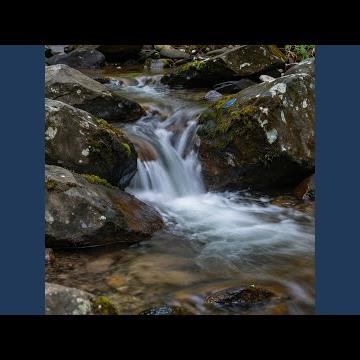 Nature Flow State