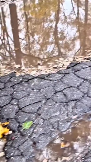 Mairis Briedis on Instagram: "🇱🇻 🤝 Kopā mēs to izdarījām! 🛠️ Rigondas gatves bedres ir aizlāpītas mūsu talka ir paveikta! Paldies visiem brīvprātīgajiem, kas atnāca un pielika savu roku 💪 Katrs ieguldīja darbu, un tagad iela ir sakopta un drošāka visiem. Šis ir pierādījums, ka cilvēkos ir spēks, un kad darām kopā, mēs varam panākt reālas pārmaiņas! Lai šis nebūtu pēdējais kopdarbs tā mēs varam sakārtot visu apkārtni soli pa solim. 🌱"