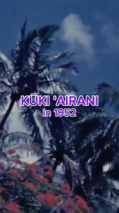 311K views · 7.8K reactions | A special look into the Cook Islands in 1952 ❤️  Archival footage by The New Zealand Film Unit #rarotonga #aitutaki #loveourlittleparadise #cookislands | Cook Islands | Facebook