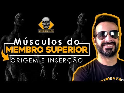 MUSCLES OF THE UPPER LIMB TIPS OF ORIGIN AND INSERTION