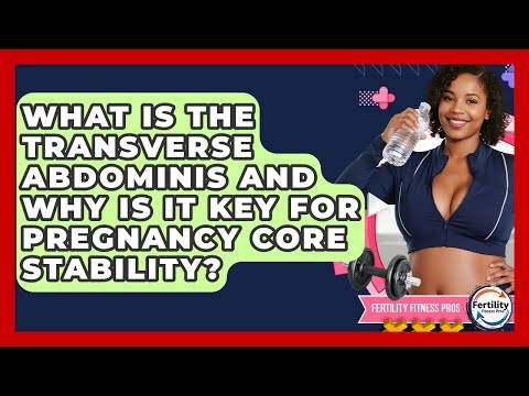 What Is The Transverse Abdominis And Why Is It Key For Pregnancy Core Stability?
