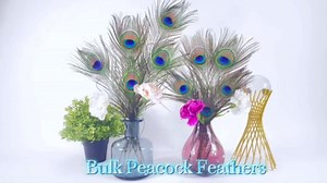 Peacock Feathers-30Pcs 15-19in (40-45cm),Bulk Natural Long Peacock Feathers for Vase Decorations Party Decor and DIY Crafts.