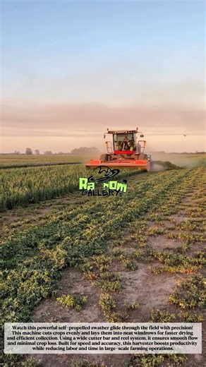 INSANE Self-Propelled Swather Harvesting at Lightning Speed! 🚜🌾