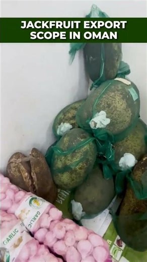 Does Jackfruit Have Export Scope in OMAN? #shorts