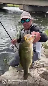 4.8K views · 226 reactions |  James Lindner doing a little shore fishing for largemouth bass. Current areas can be key when going after just about any fish from the shoreline. Small swimbaits, like James is using here are always a great option. | Lindner's Angling Edge | Facebook