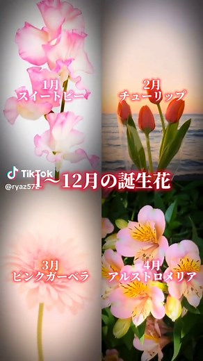 誕生花一覧と花言葉：バースデーフラワーの意味と特徴