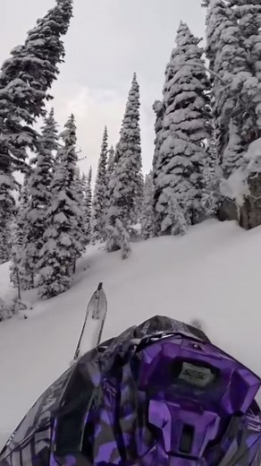 Wait a 600 can do that?! With our Exterminator Stage Kits, any 600 can come to life! @ridinsnowy demonstrates with his 600 Catalyst equipped with our Stage 3 Kit 🔥 Check out our Stage 1, 2, and 3 Kits! Low Elevation Kits still TBA due to lack of snow to test on! 🔗 LINK IN COMMENTS #speedwerxusa #straightupusahorsepower #arcticcat #catalyst #600 #exterminator #stagekit #2024 #highelevation #arcticcat_snow | Speedwerx