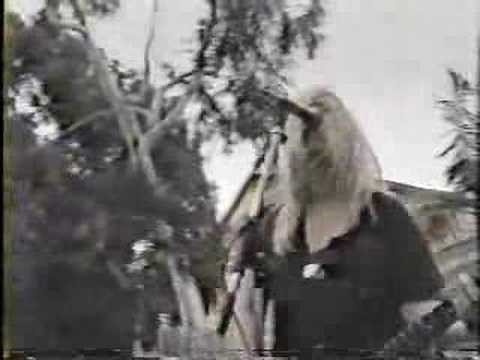 L7 - cat o' nine tails