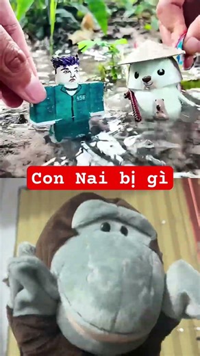Con nai bị gì ? Đón xem phần 2 nha