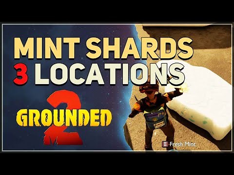 Mint Shard Locations Grounded 2