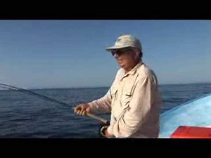 Fly Fishing for Giant Dorado - Loreto, Mexico