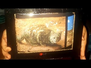 Televisor de cartón