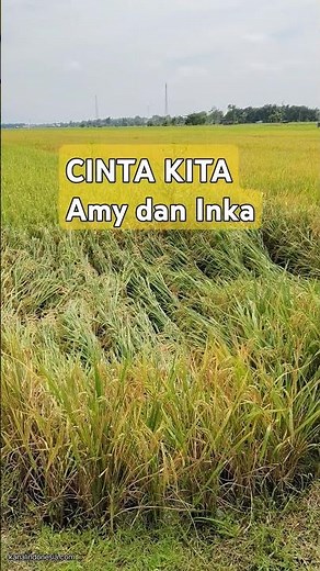 CINTA KITA (Amy feet Inka)