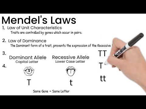 Mendel's Laws. Short Simple Science