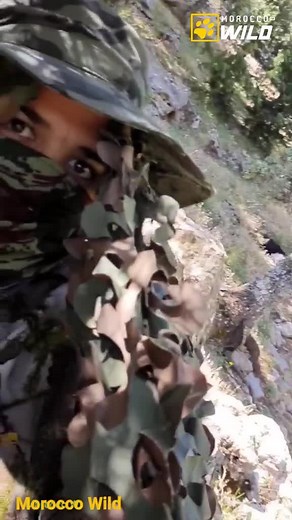 morocco.wild sur TikTok