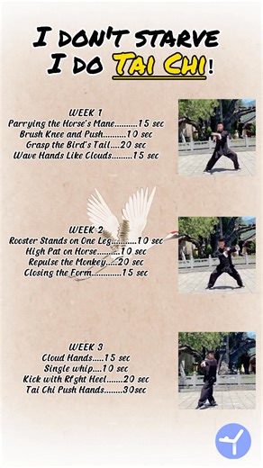 After 50? Tai Chi Is Your Perfect Exercise"* Age with strength. Move with wisdom. Tai Chi—the gentle art that boosts longevity, sharpens the mind, and energizes the spirit. | Kai's Tai Chi Workout