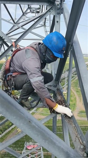 OTHERS' Bird Nest Removal vs This Pro Team #satisfying #animals YouTube Shorts