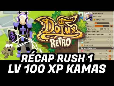 ALREADY LEVEL 100?! DOFUS RETRO SEASONAL RUSH SUMMARY (XP / KAMAS)