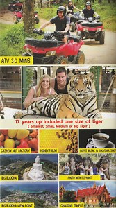 THE TOP 10 Phuket City Tours (with Prices).